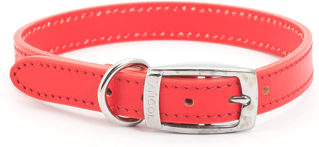 Ancol Red Leather Collar (Size 4)