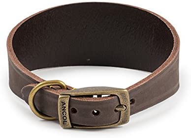 Ancol Timberwolf Whippet Leather Collar