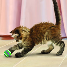Load image into Gallery viewer, Kong Active Cat Tennis Balls With Bells 3PK
