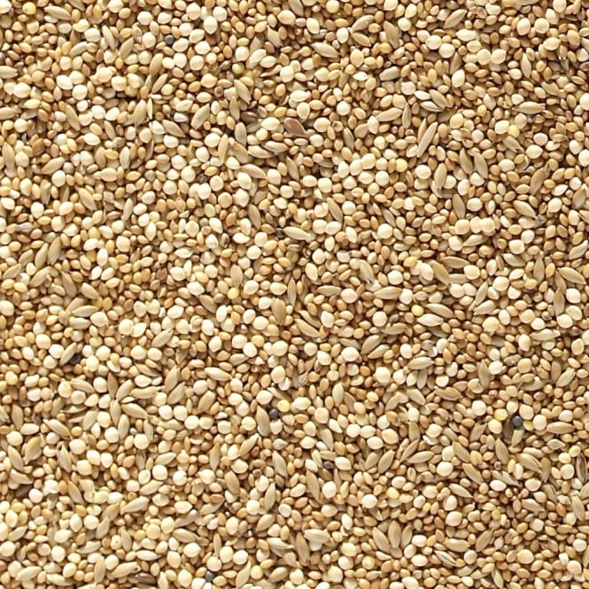 Foreign Finch Seed Loose 1KG