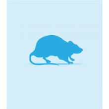 Load image into Gallery viewer, Frozen Rat Large 18-19cm (251-355g)
