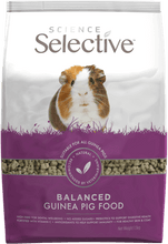 Load image into Gallery viewer, Science Selective Guinea Pig
